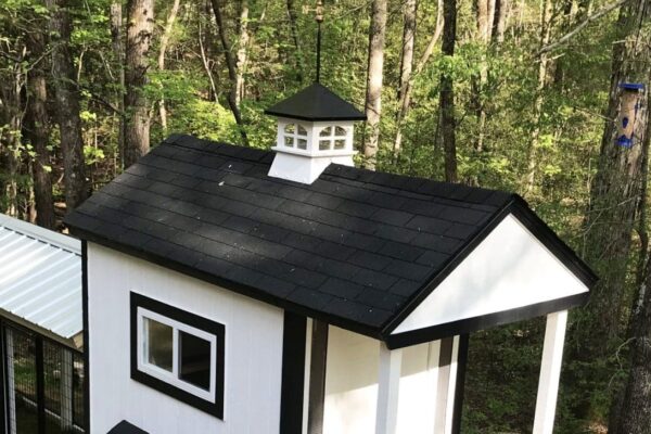 cupolas for backyard chicken coops