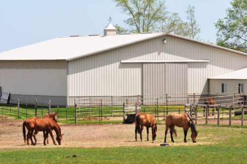 pole barn with horses and cupola