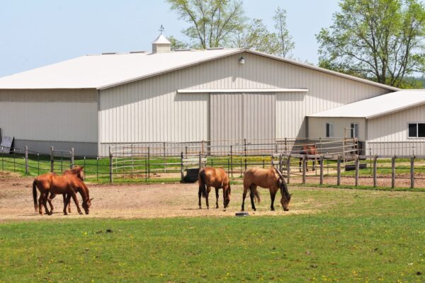 Pole Barn Cupolas for Sale Your Barn in PA, MD, DE